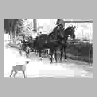 111-0477 Augken am 19. August 1937. Julianne Steimmig im Jagdwagen mit den beiden Pferden Hans und Grete und dem Hund -Cherry-, ein Irisher Terrier.jpg